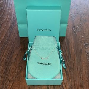Authentic Tiffany & Company Infinity Necklace